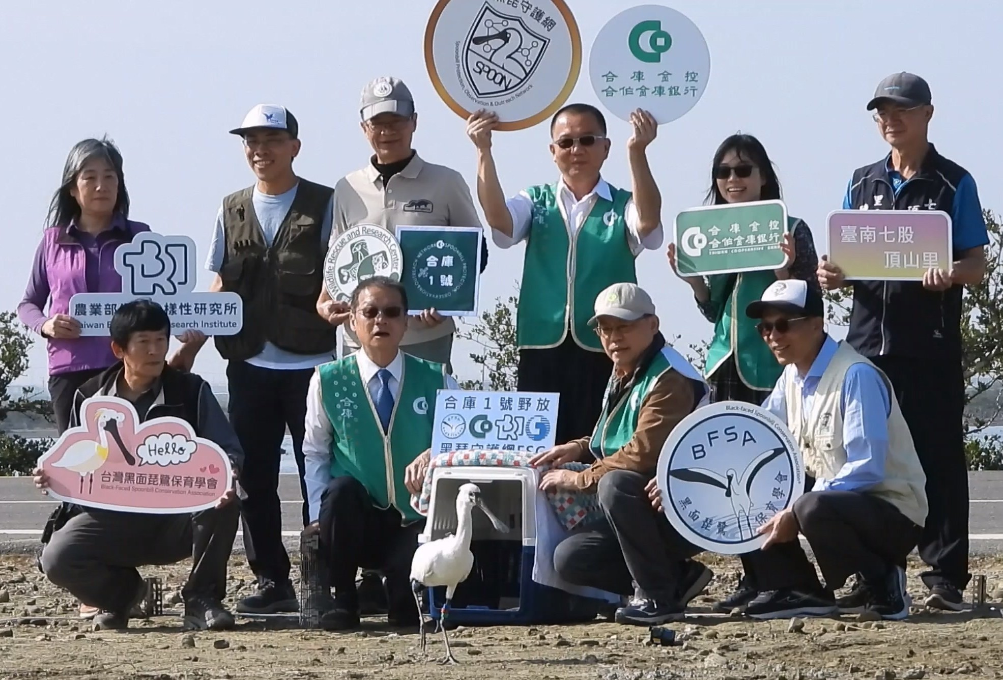 合庫銀行攜手農業部生多所及NGO啟動黑琵守護網  成功救治本年度首例傷病黑琵